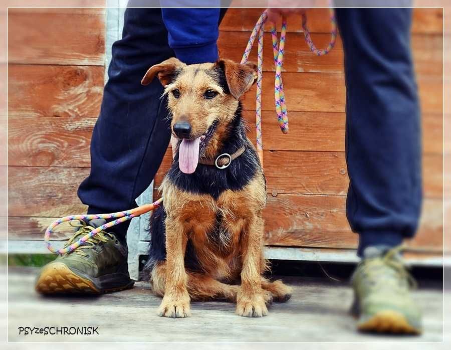 Zara – kiedyś miała dom, teraz tęskni za kratami