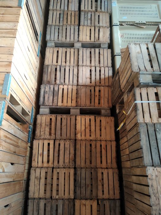 Skrzynki jedynki klatki drewniane