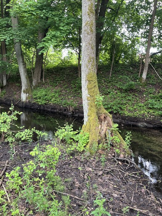 WARMIA MAZURY Działka budowlana RZEKA/JEZIORO Tylkowo 3811 m WZ - Widok 3