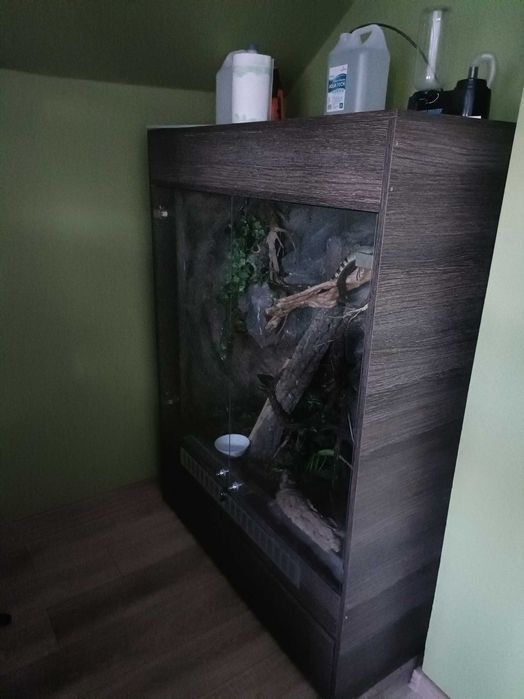 Terrarium tropikalne 120x160x60