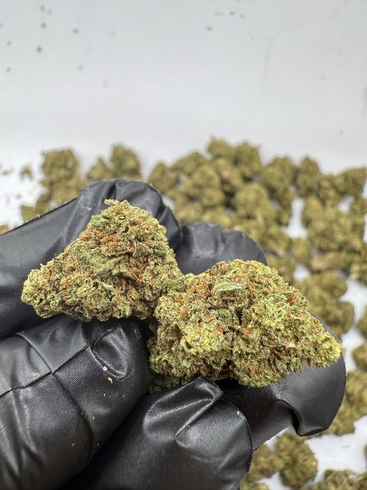 1kg susz CBD Grape Berry /THC<0.3%