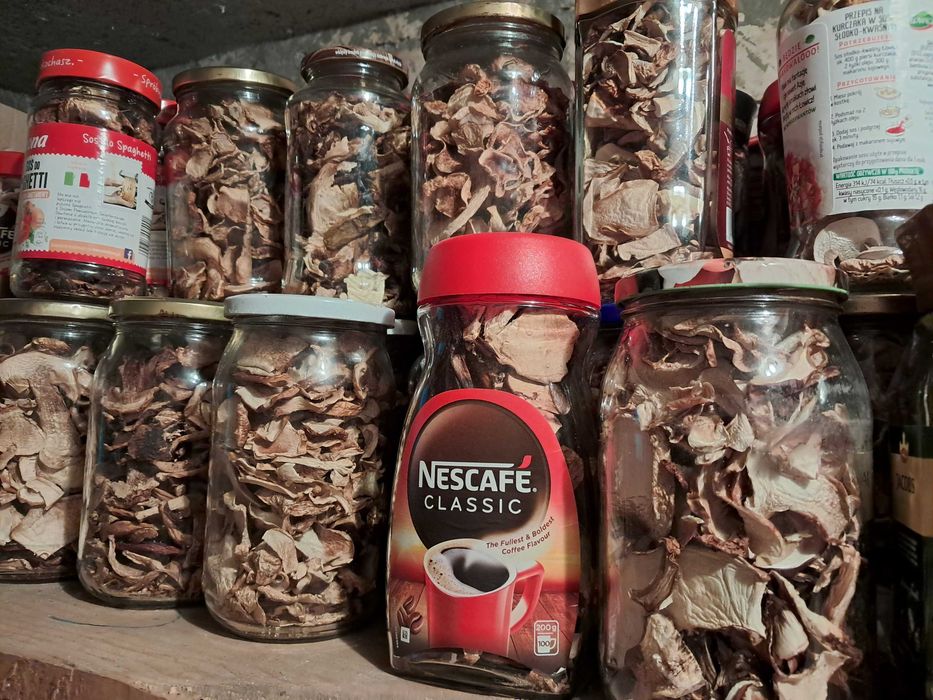 Grzyby suszone prawdziwki