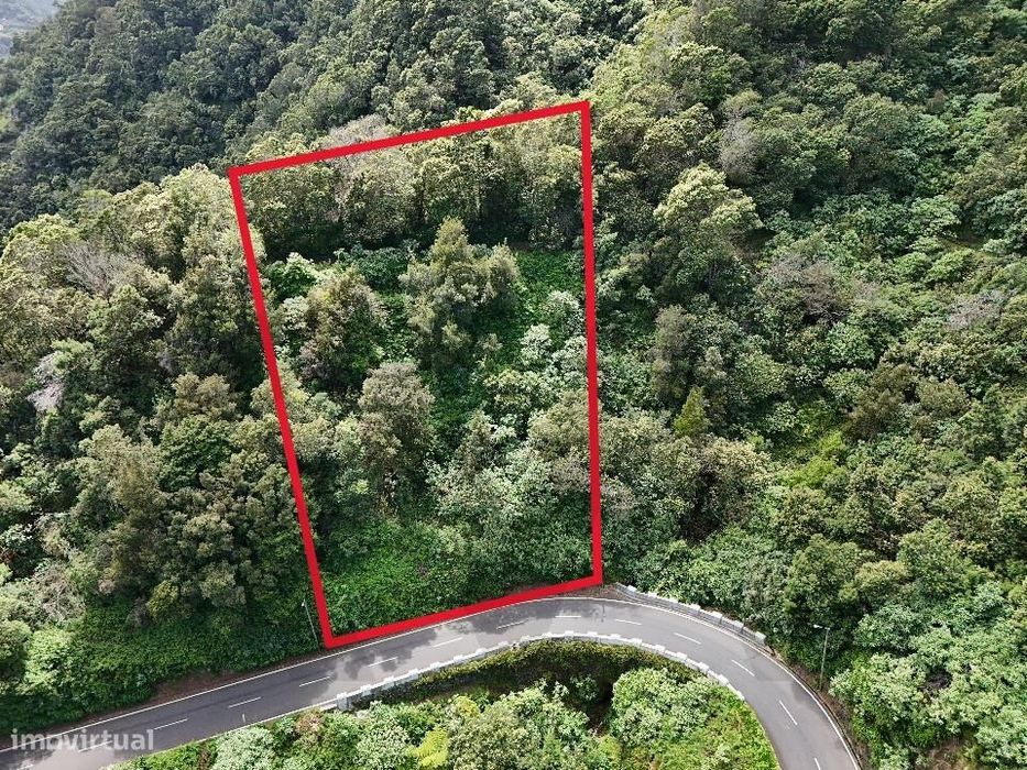 Oportunidade Única: Terreno com Potencial de Construção no Faial