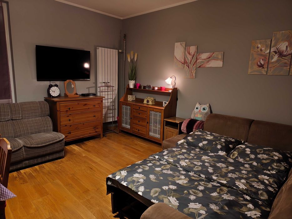 Sprzątanie mieszkań oraz mycie okien