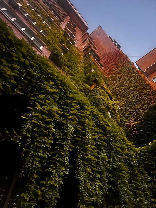 Здається світла та затишна квартира в будинку-шоколадці на Антоновича.