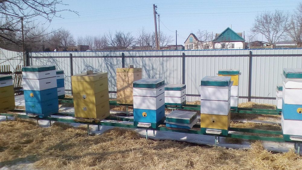 Вулики з пінополістиролу. Рамки  230мм.