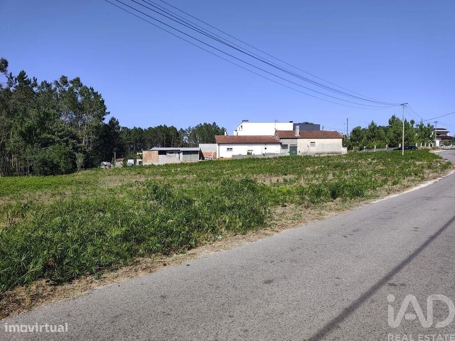 Terreno Agrícola em Maceira