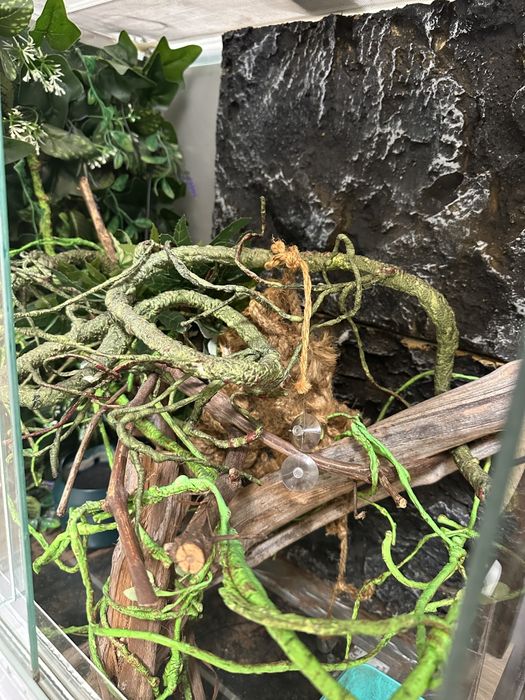 Тераріум для рептилії