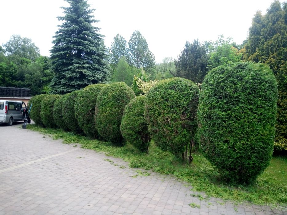 Kompleksowe Usługi Ogronicze