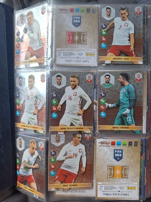 Karty pilkarskie 2017 2018