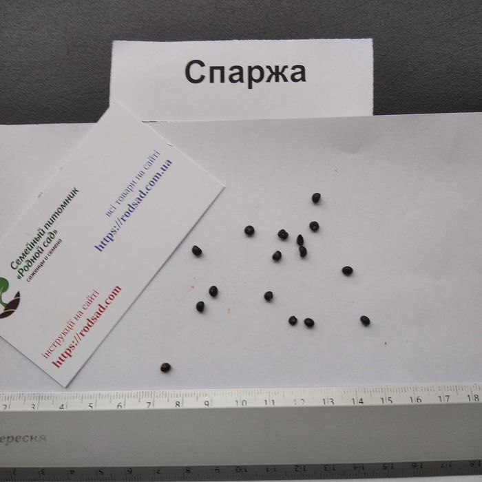 Спаржа насіння (2 сорти) семена аспарагус | є безкоштовна доставка
