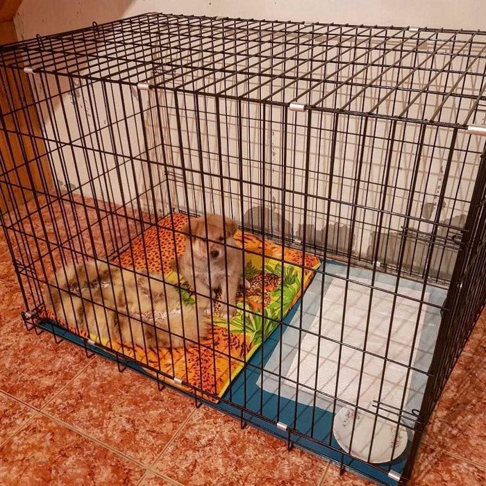 Клітка клетка S-XXL переноска вольєр будка для собак цуценя кішки