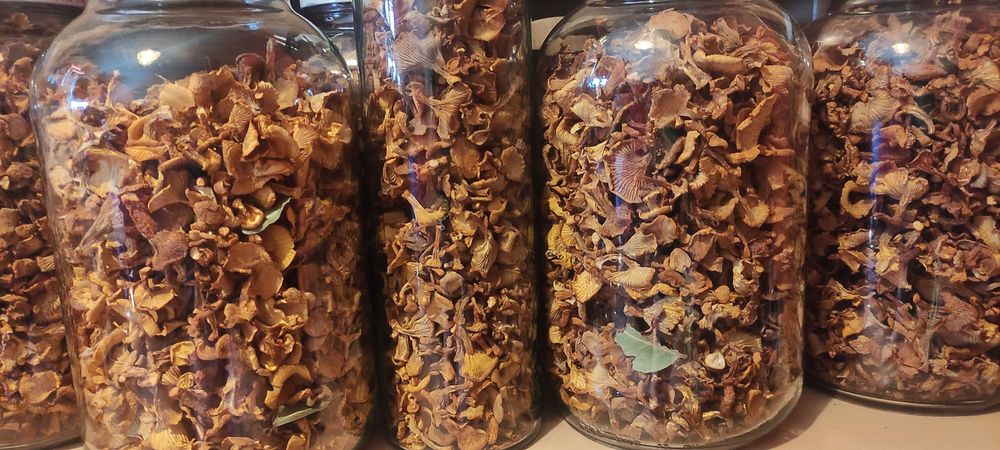 Grzyby kurki suszone 100 g - 2025