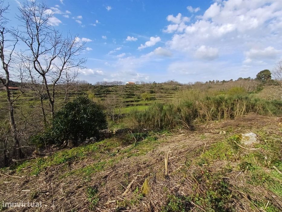 Quinta situada em plena natureza