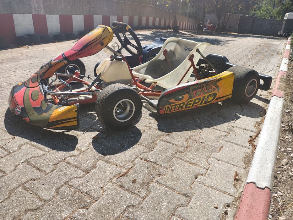 Kart intrepid cruiser 2015