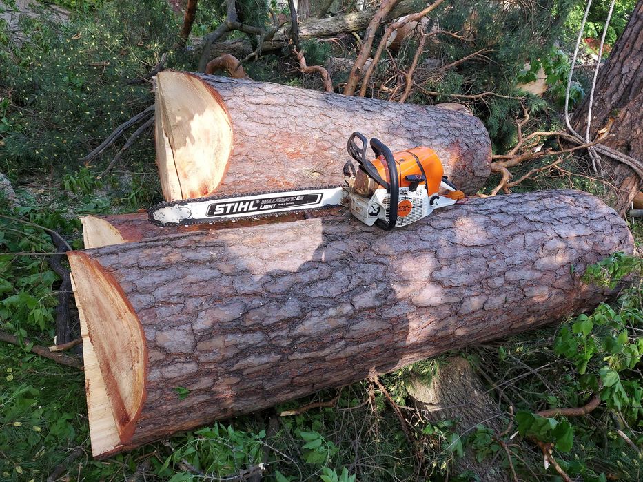 Спил аварийных деревьев