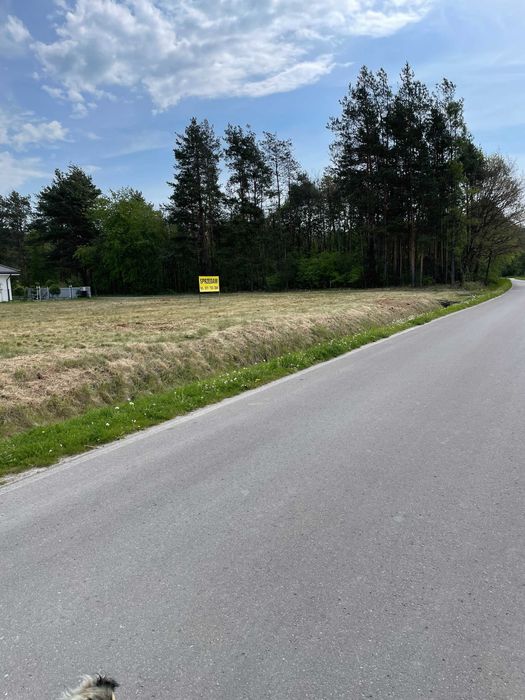 działka budowlana 17 arów, w miejscowości Grochowe gminaTuszów Narodowy z mediami w drodze - Więcej