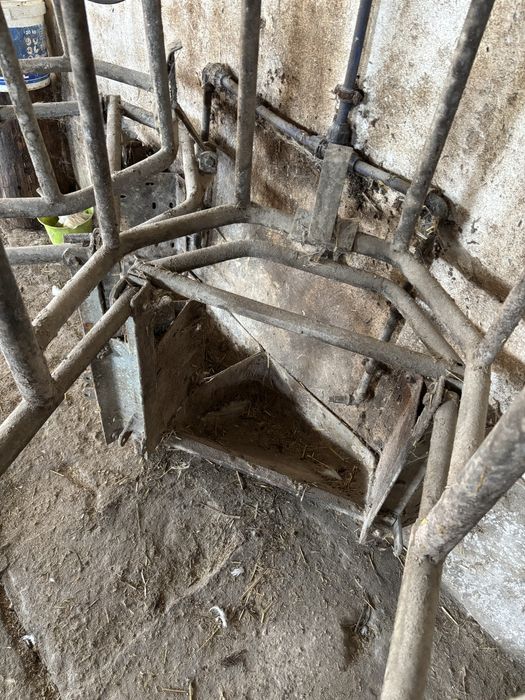 Kojec porodówka dla loch świń