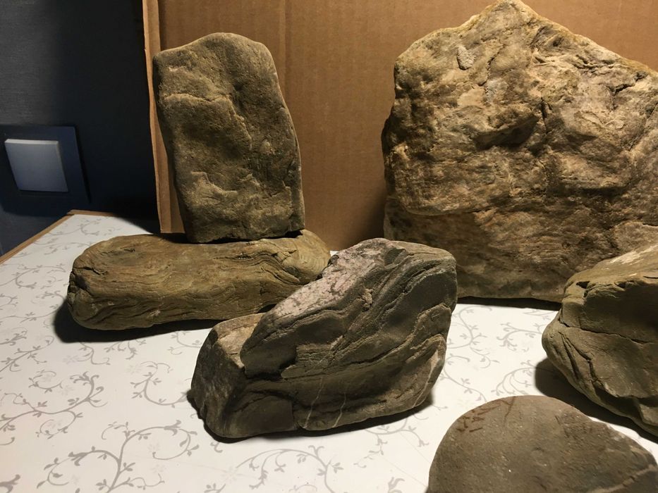 Зоотовари для дизайну тераріум