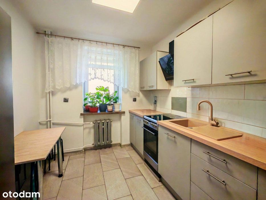 Mieszkanie dwupokojowe 54,6 m2/1 p/ centrum Chełma