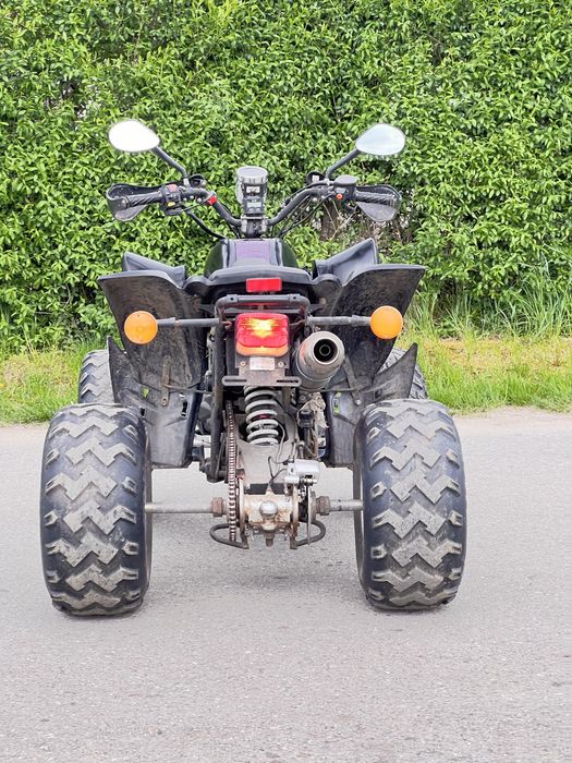 Квадрик башан 250