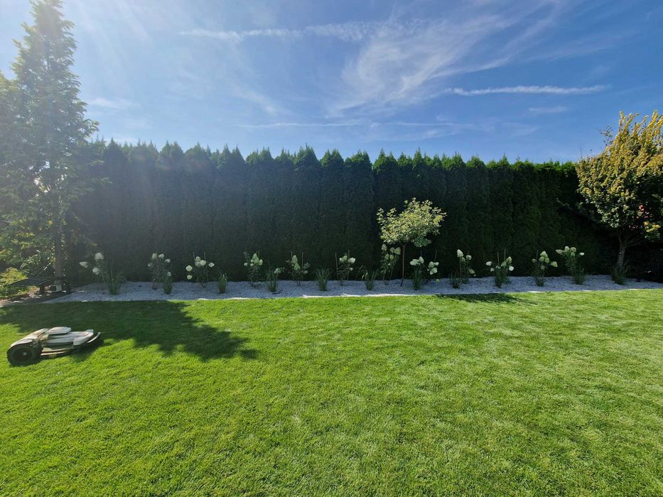 Kompleksowe usługi ogrodnicze, pielęgnacja zieleni - Magicy Ogrodów