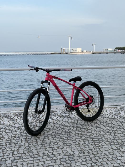 collective c100 rosa
