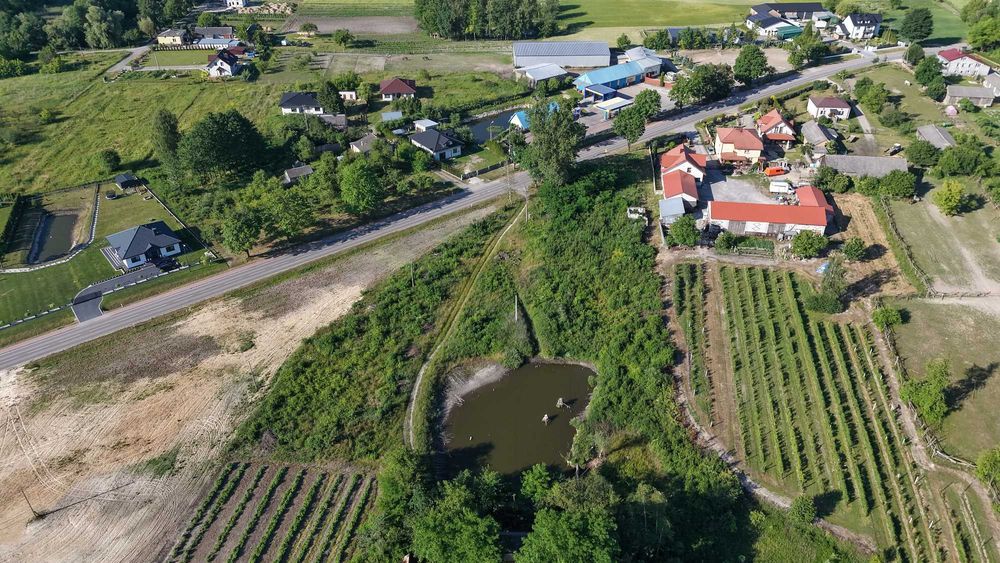 Działka pod zabudowe Przytyki - Widok 6