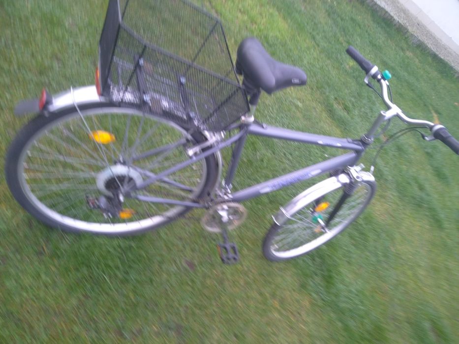 Rower Senator       .