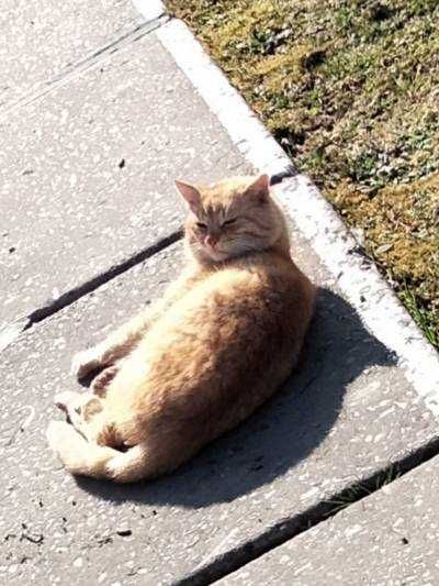 Житло для жінки пенсійного віку