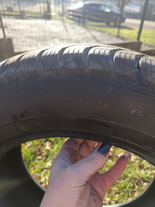 Opony zimowe Dębica 195/65r15