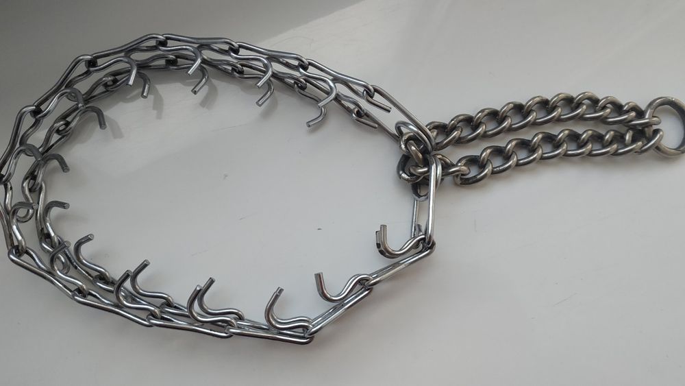 Ошийник для маленької собаки