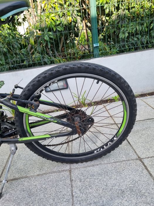 bicicleta colouer
