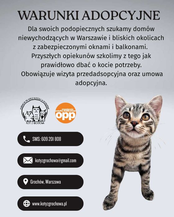 Seweryn poleca się do domu