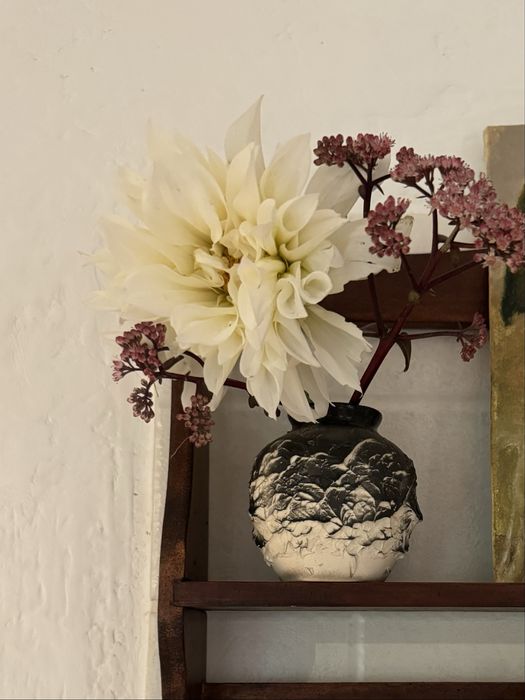 Жоржина White Perfection