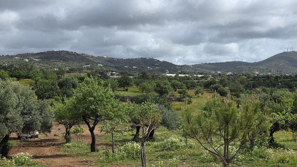 Terreno Rústico com Área Urbana – Estoi, Faro
Terreno rústico à venda