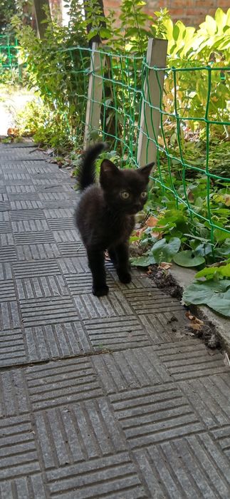 Энергичный мальчик около двух месяцев