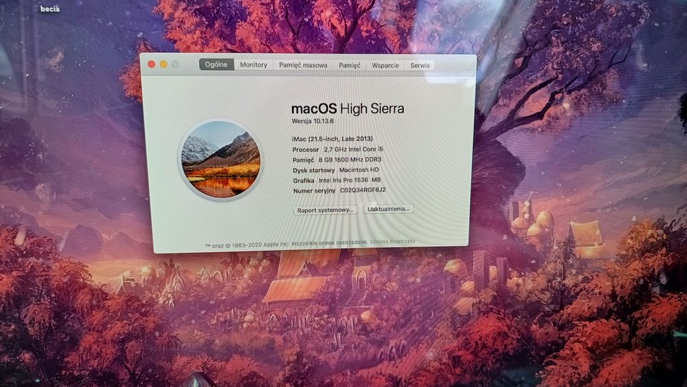 Imac 21,5 2013 rok