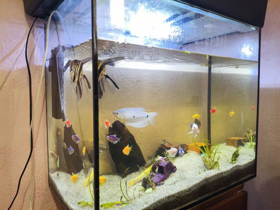 СРОЧНО!!! Продам великий акваріум 150л аквариум