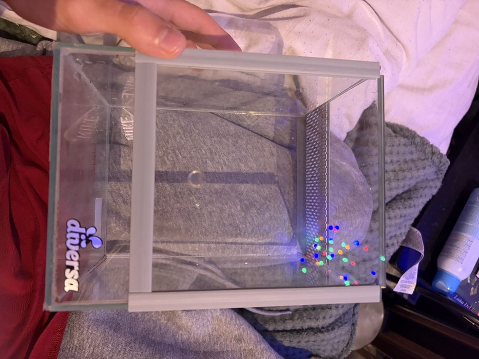 Terrarium 15x15x20