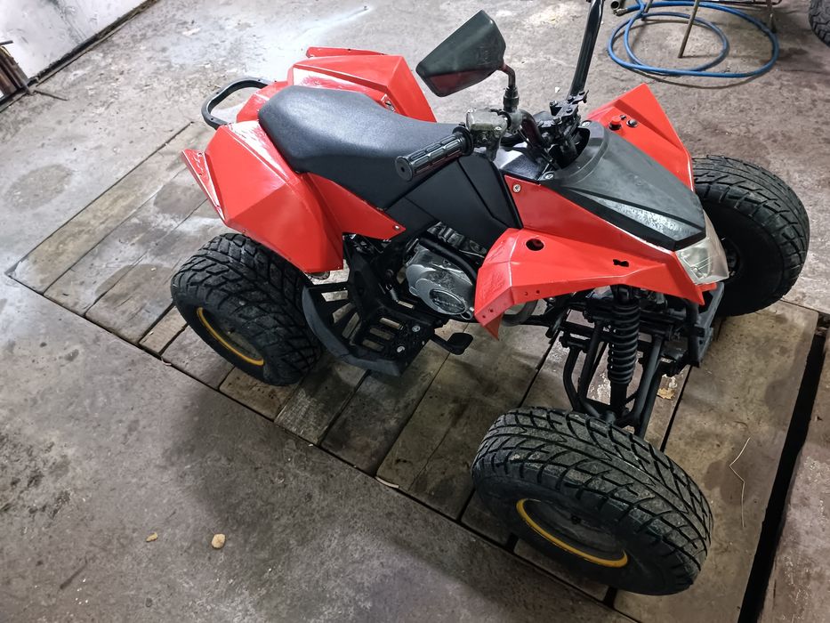 Egl 110 (quad Bashan loncin cross 125)