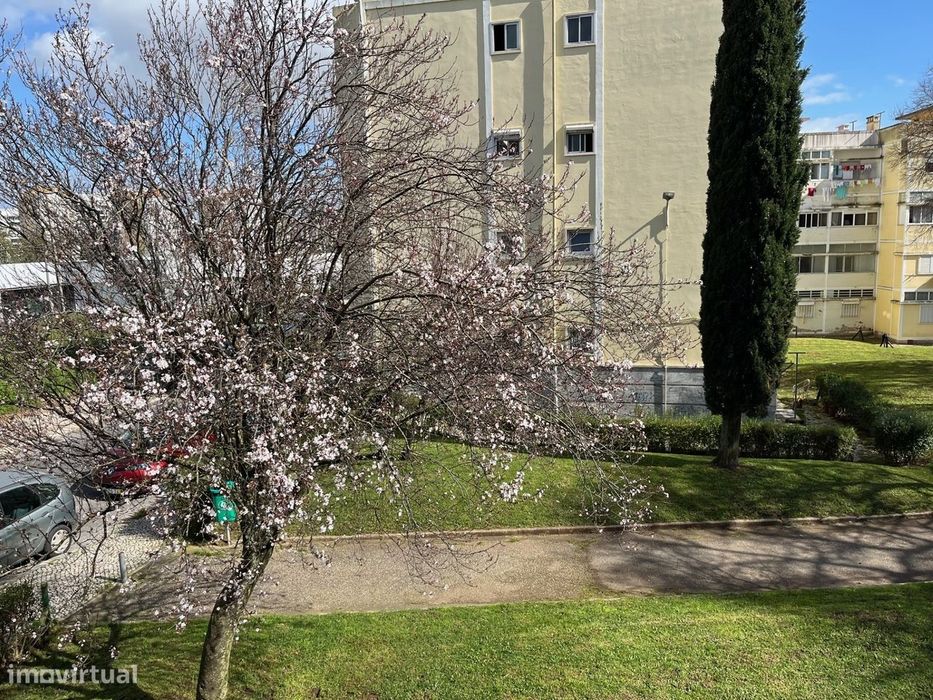 Remodelado Junto às Portas Benfica Oferta da Escritura