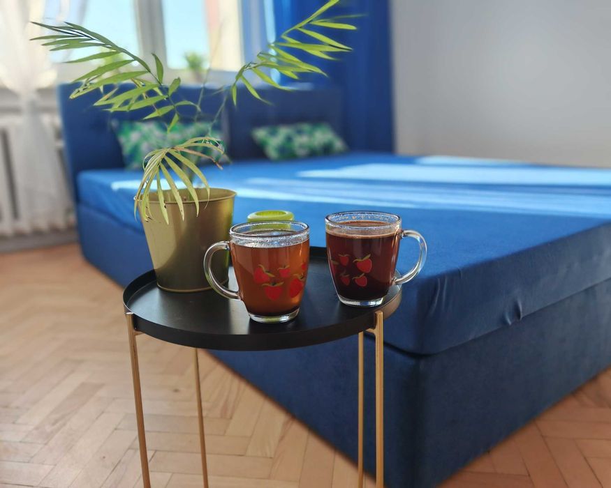 Wynajem. Całe mieszkanie - 2 pokojowe. Łódź ul. Inowrocławska.
