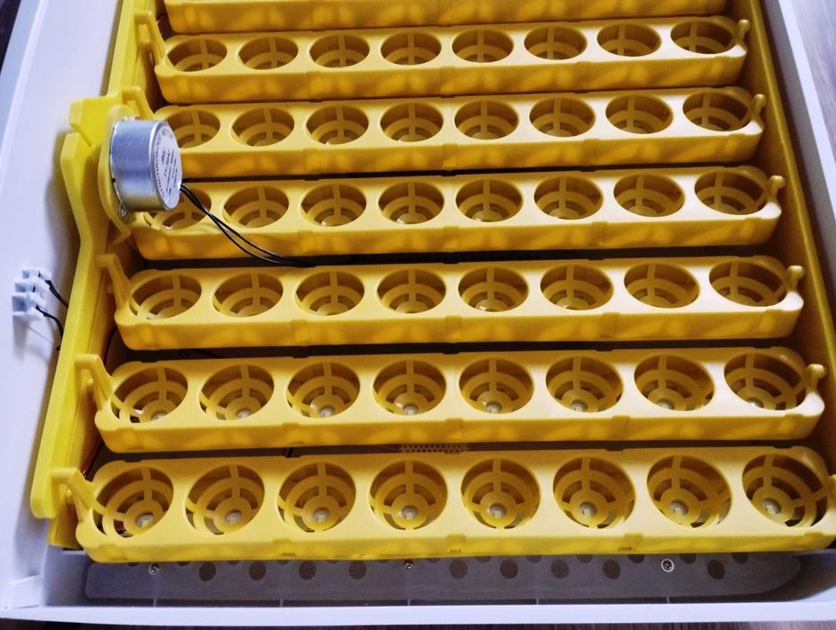 Chocadeira incubadora automática, maternidade. Nova a estrear