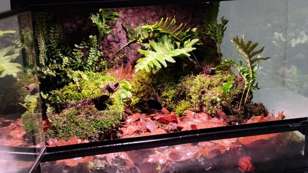 Terrários Giganterra