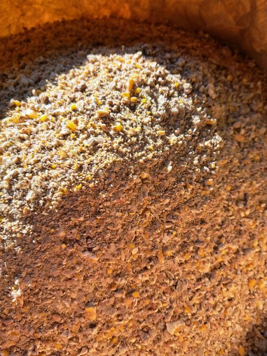 Śruta kukurydziana, kukurydza śrutowana