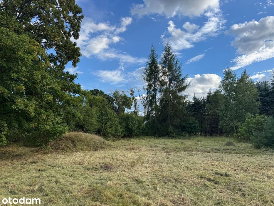 OKAZJA! Działka 3300 m² z mediami, gotowa do zabudowy dużo prywatności - Widok 5