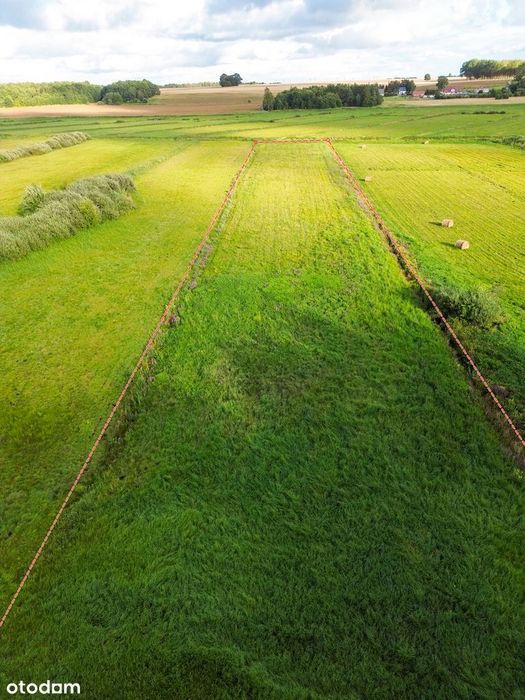 Działka 7 300m2 rolna z możliwością siedliska - 11 MIN OD MORZA