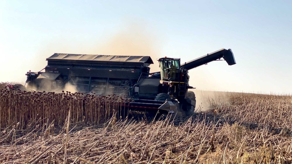 Heder do słoneczników – Franco Fabril