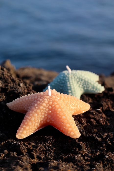 Conjunto decorativo do mar | Azorean Spirit